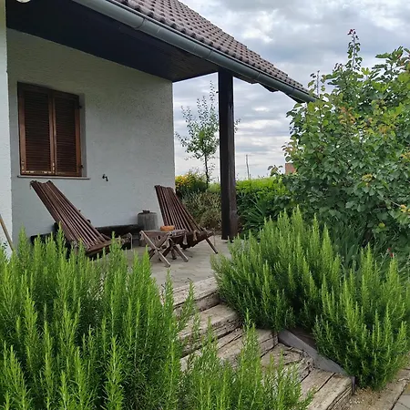 Prázdninový dům Apartma Puša Cirknica